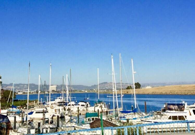 Aeolian Yacht Club | 980 Fernside Blvd, Alameda, CA 94501, USA | Phone: (510) 523-2586