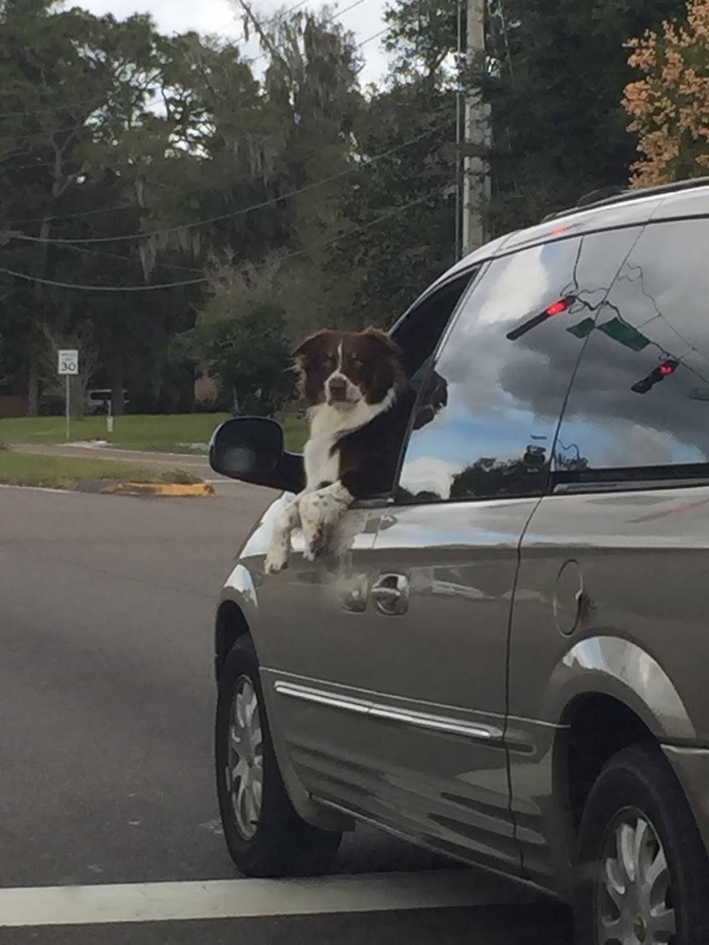 Southside Estates Park | 9775 Ivey Rd, Jacksonville, FL 32246, USA | Phone: (904) 565-2706