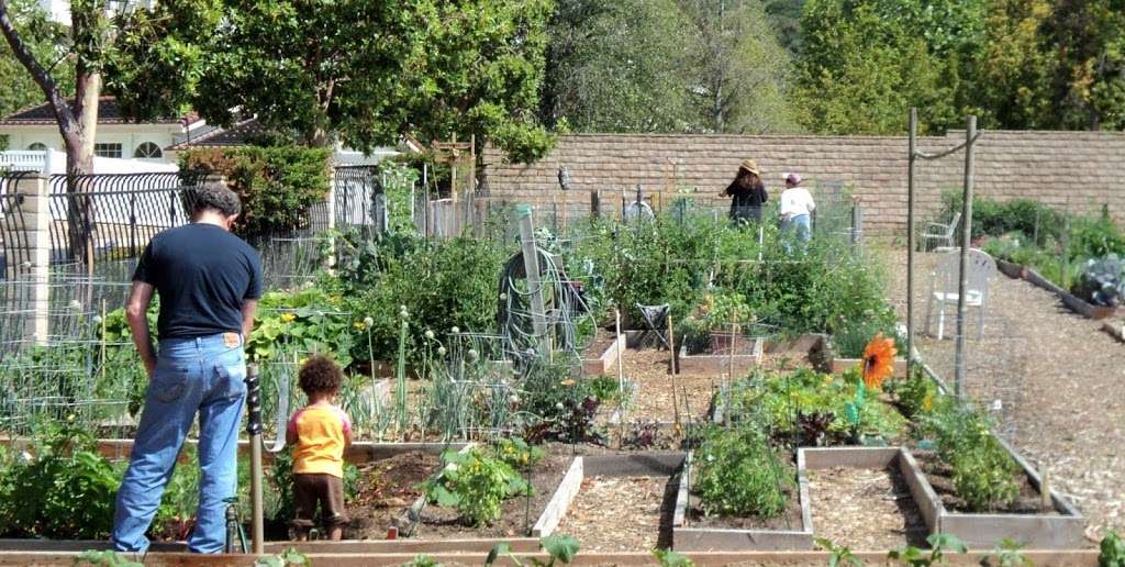 Camarillo Community Gardens | Antonio Ave & N Ponderosa Dr, Camarillo, CA 93010, USA | Phone: (805) 867-5309