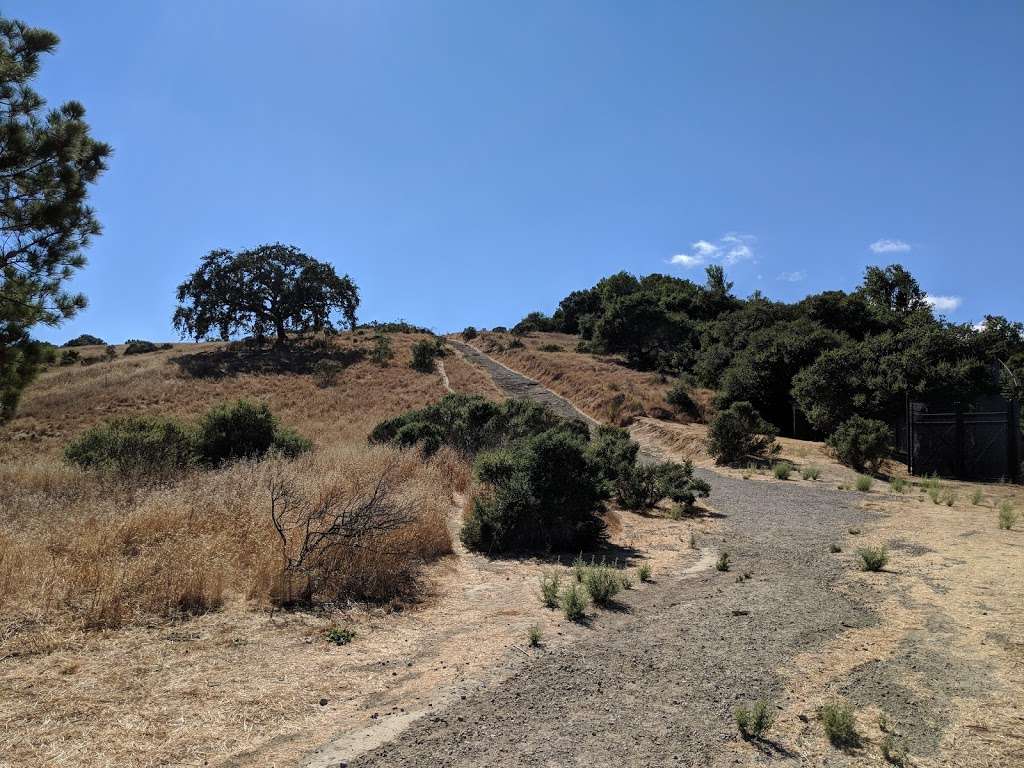Trailhead | Oak Manor Fire Rd, San Anselmo, CA 94960, USA