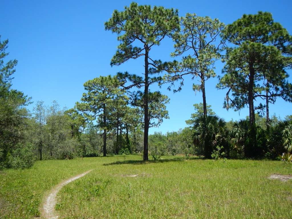 Seminole Wekiva Trail - Markham Woods Trailhead | 8515 Markham Rd, Lake Mary, FL 32746 | Phone: (407) 665-2001