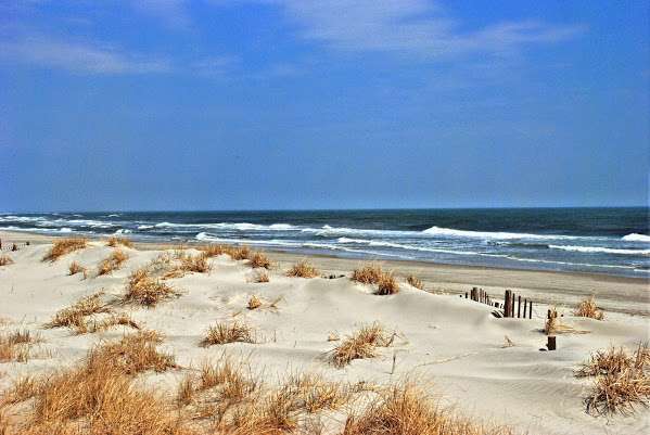 Long & Foster Vacation Rentals Avalon | 2997 Dune Dr, Avalon, NJ 08202, USA | Phone: (609) 967-3001