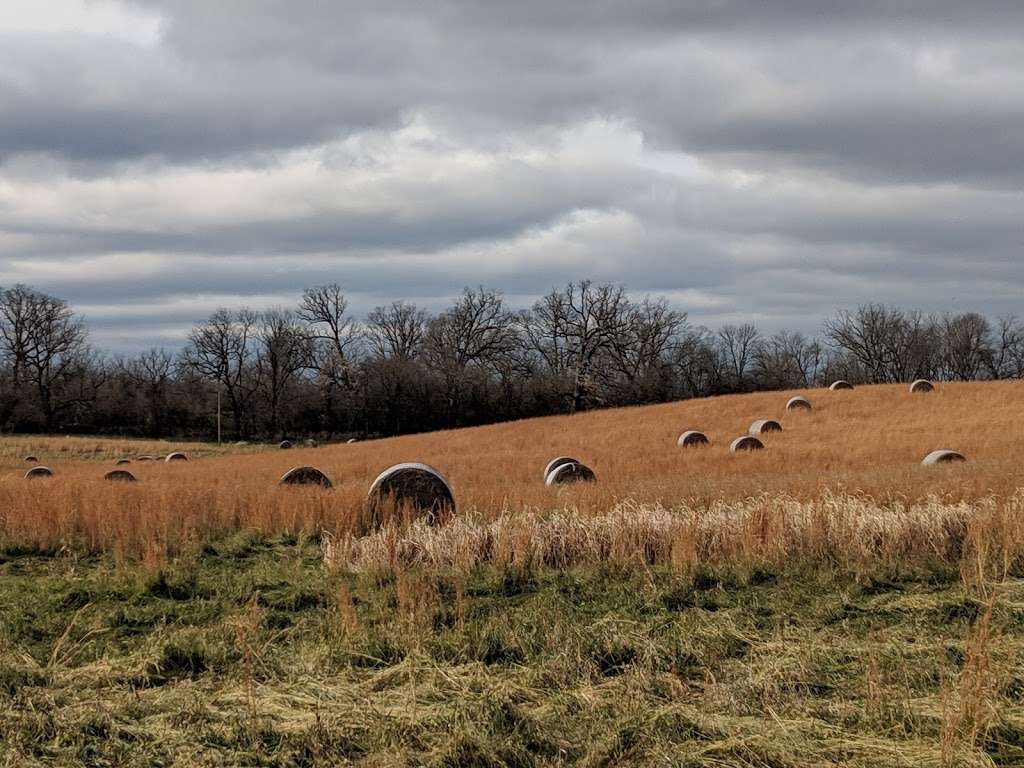 State Arboretum of Virginia, 400 Blandy Farm Ln, Boyce, VA 22620, USA