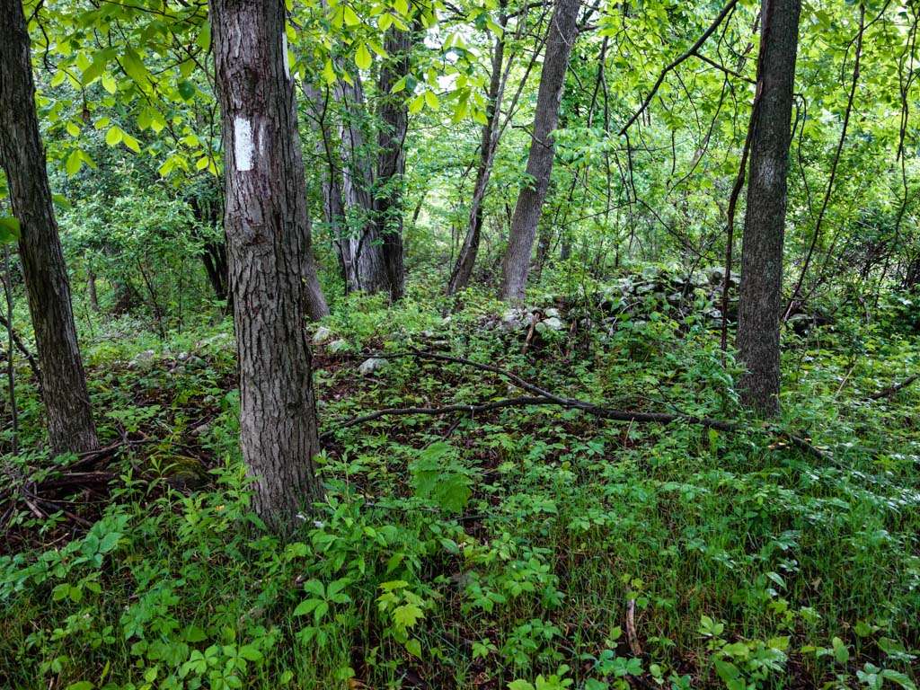 Appalachian Trail | Greenville Rd, Wantage, NJ 07461, USA