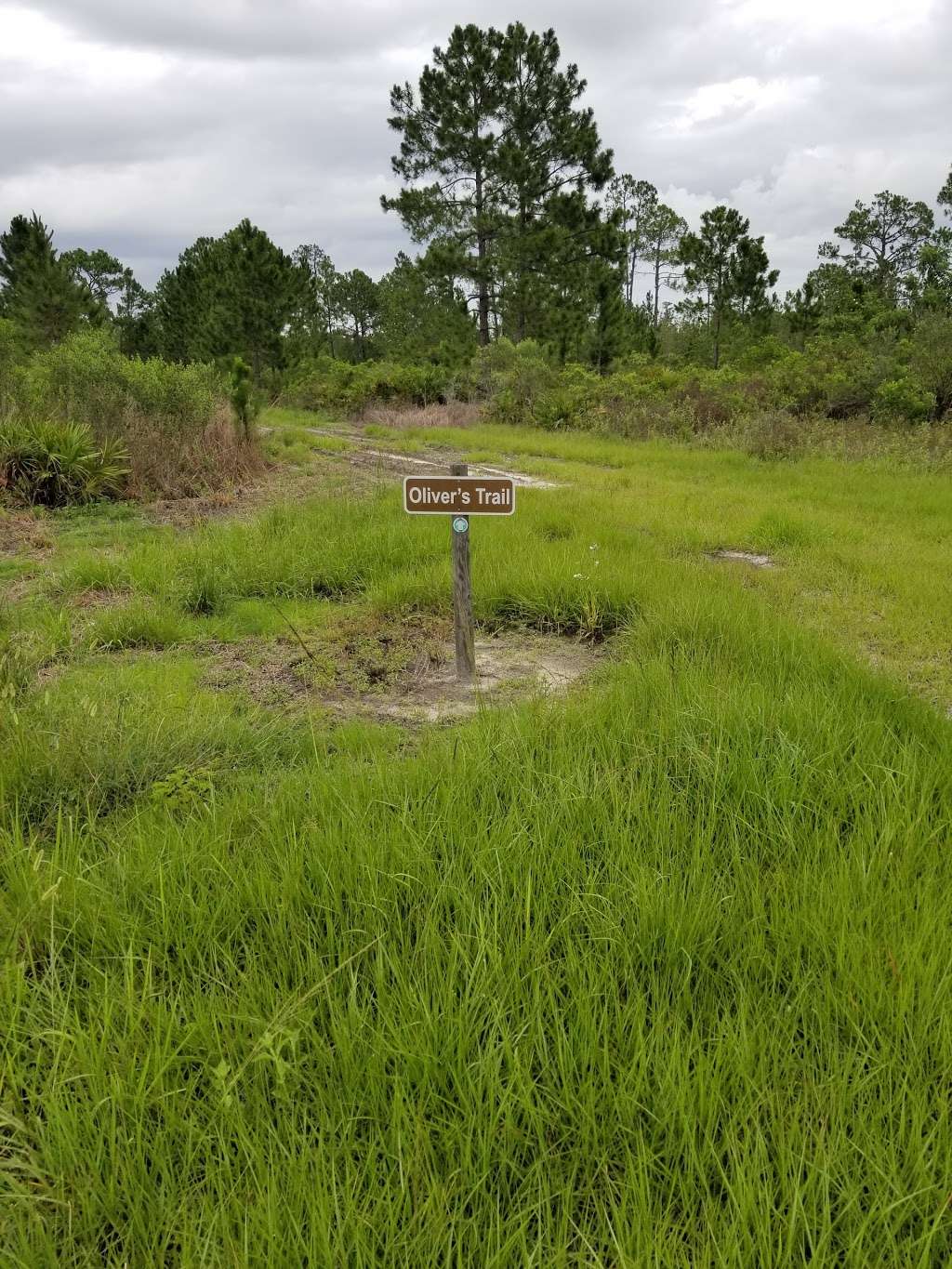 Osprey Unit, Hilochee Wildlife Management Area - Olivers Trail | 10701 Old Grade Rd, Polk City, FL 33868, USA | Phone: (863) 648-3200