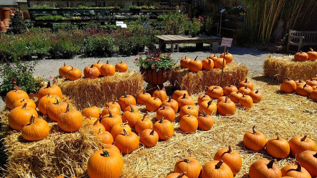 Half Moon Bay Nursery 11691 San Mateo Rd, Half Moon Bay, CA 94019