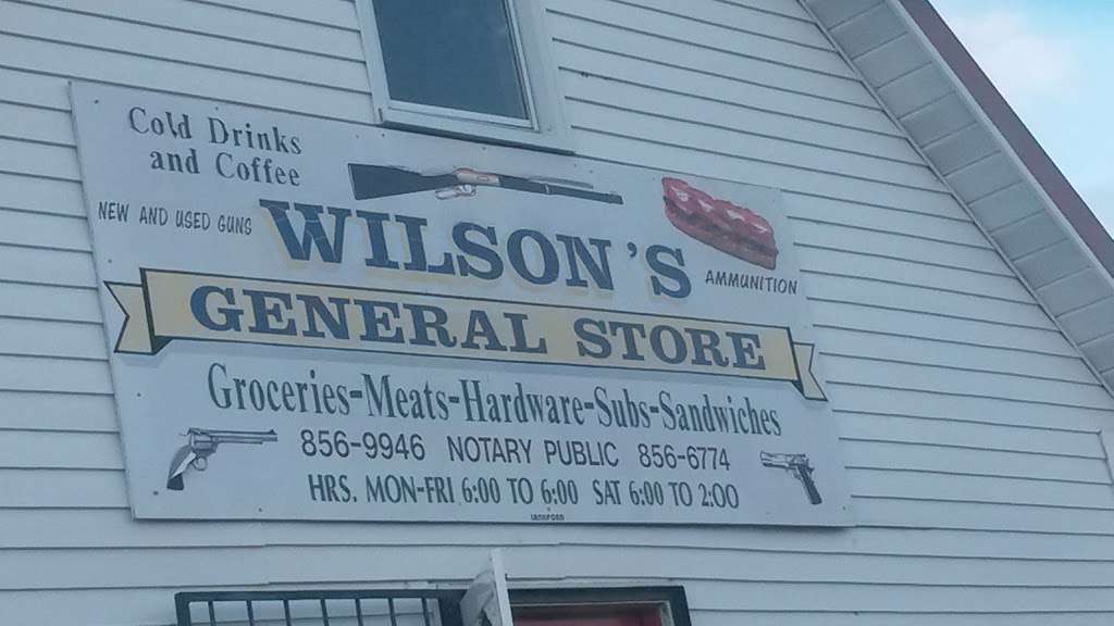 Wilsons Store | 24739 Springfield Rd, Georgetown, DE 19947 | Phone: (302) 856-6774