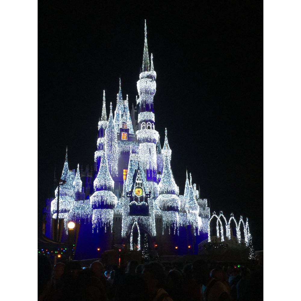 Disney Vacation Free Travel Agent | 7201 Sunset View Ct #7658, Willow Spring, NC 27592, USA | Phone: (919) 498-4134