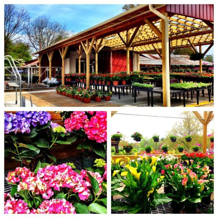 Blacks Produce | 636 N Highway 16, Denver, NC 28037, USA | Phone: (704) 489-0078