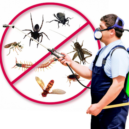 R & T Pest Control | 3716 Copperville Way, Fort Washington, MD 20744 | Phone: (301) 248-5110