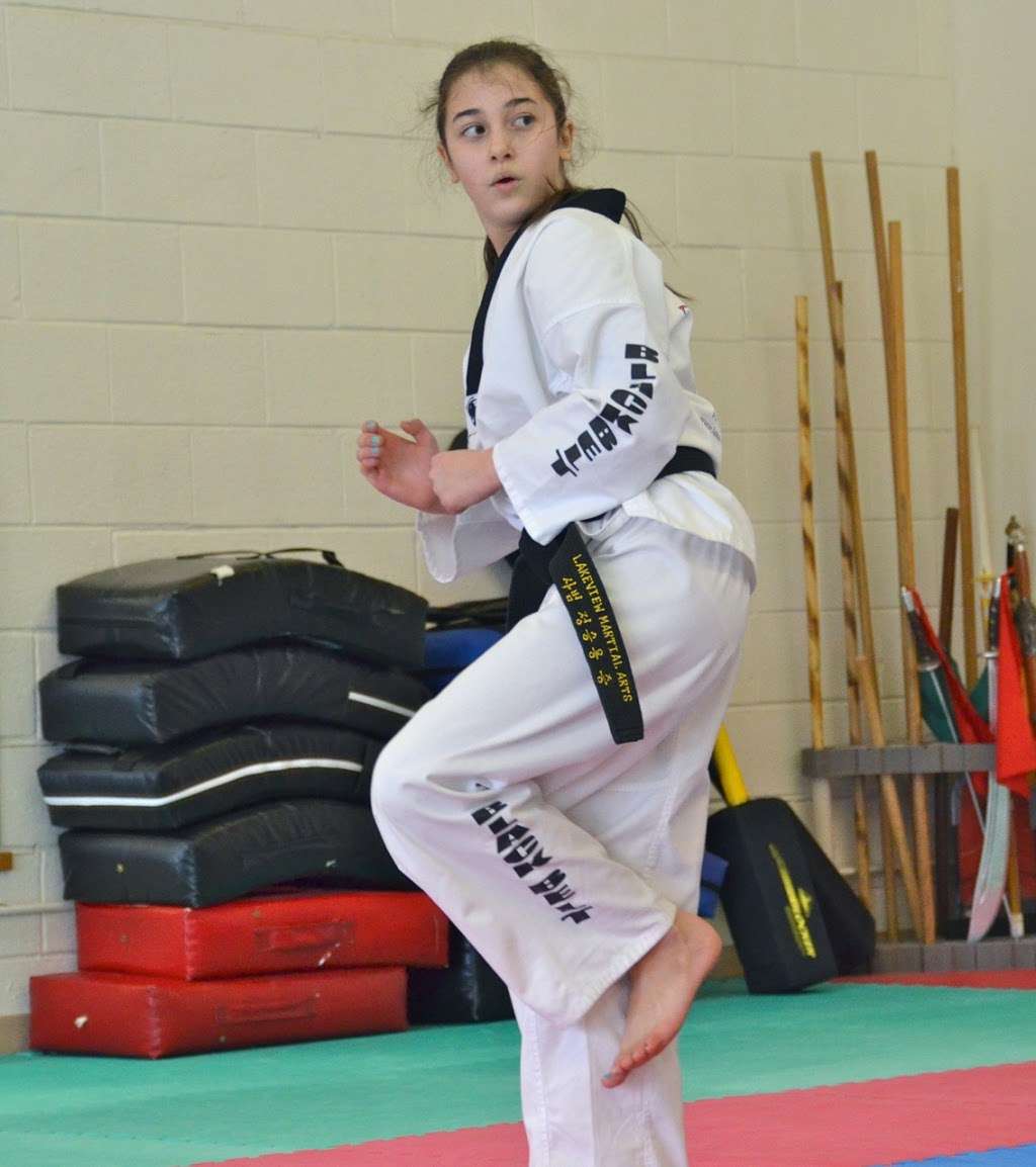 Lakeview Martial Arts Academy | 1614 Deerfield Rd, Highland Park, IL 60035, USA | Phone: (847) 831-4080