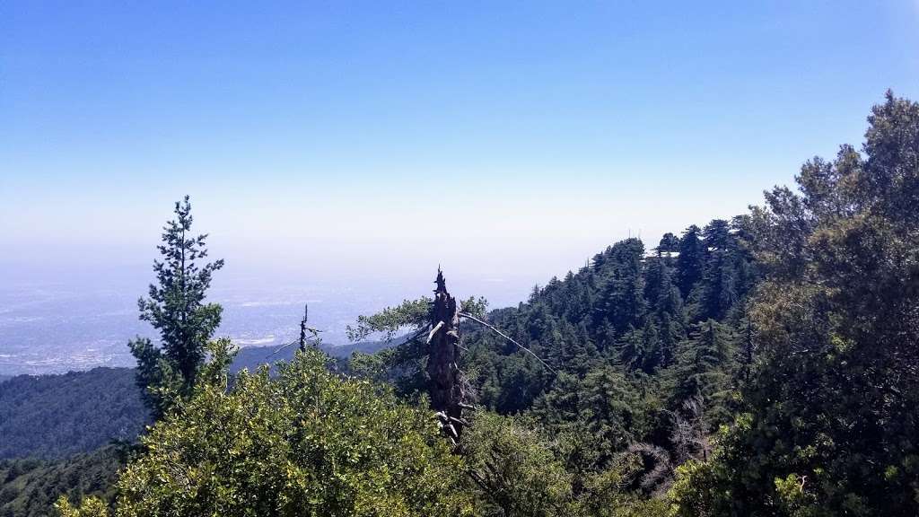 Rim Trailhead | Rim Trail, Mt Wilson, CA, USA