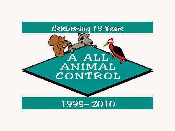 A All Animal Control | Alta Loma, TX 77510 | Phone: (281) 465-4216