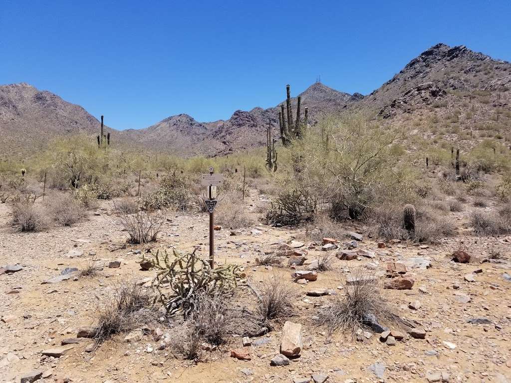 104th/Bell Road Trailhead | Levee Trail, Scottsdale, AZ 85255, USA | Phone: (480) 312-3111