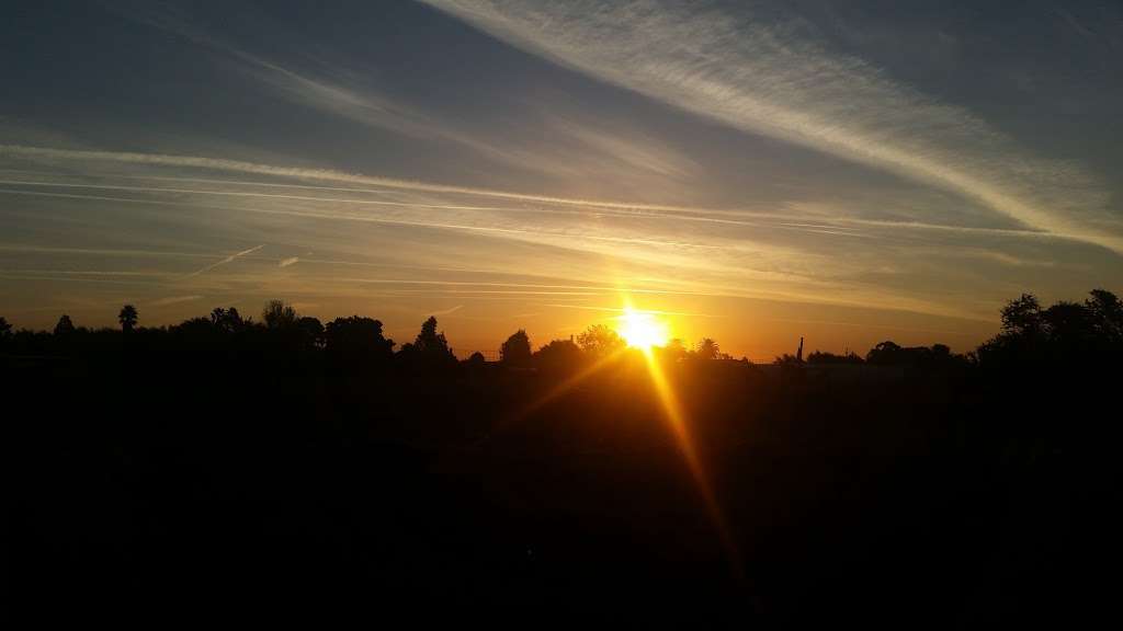 Georges Feed & Pet Supply | 1530 Humphrey Dr, Suisun City, CA 94585, USA | Phone: (707) 425-9642 Georges Feed & Pet Supply | 1530 Humphrey Dr, Suisun City, CA 94585, USA | Phone: (707) 425-9642