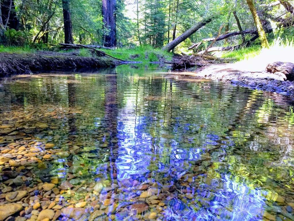 Baltimore Canyon Open Space Preserve | Blithedale Ridge Rd, Kentfield, CA 94904, USA