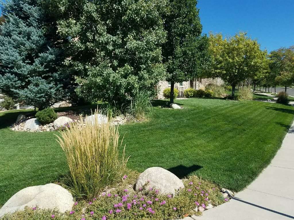 Lawn Doctor - Lakewood | 5315 W Mississippi Ave, Lakewood, CO 80226 | Phone: (303) 936-8001