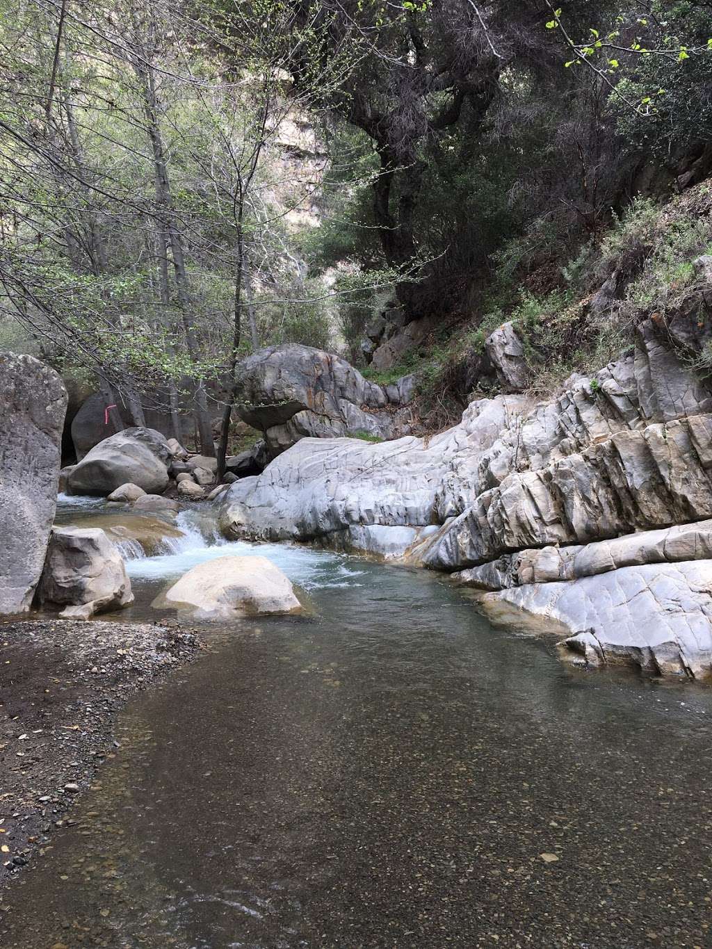 North Fork Matilija Creek Trail | Matilija Canyon Rd, Ojai, CA 93023, USA