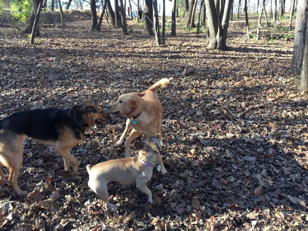 Otter Lake Off-leash Dog Area | 5750 Otter Lake Rd, White Bear Township, MN 55110 | Phone: (651) 748-2500