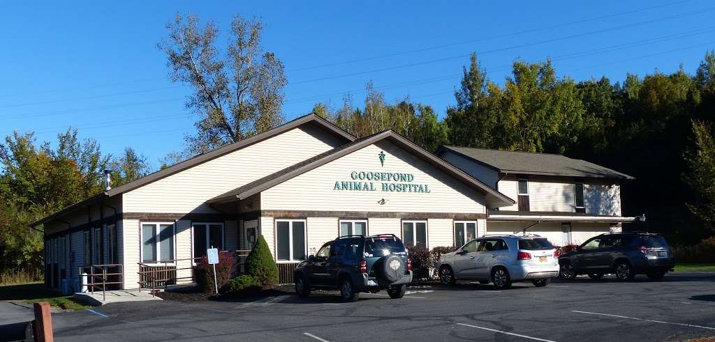 Goosepond Animal Hospital | 1110 New York State Route 17M, Monroe, NY 10950 | Phone: (845) 783-2333