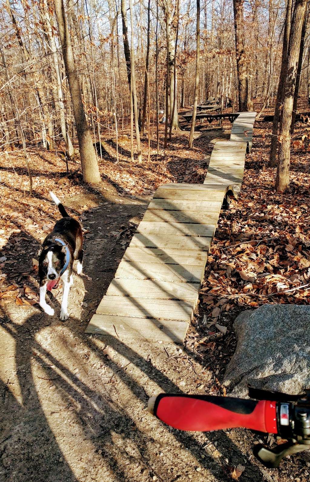 meadowood mountain bike trail