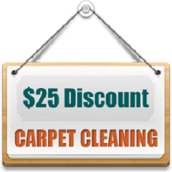 Carpet Cleaner Santa Fe | 9302 FM 2004, Santa Fe, TX 77510 | Phone: (409) 209-1363