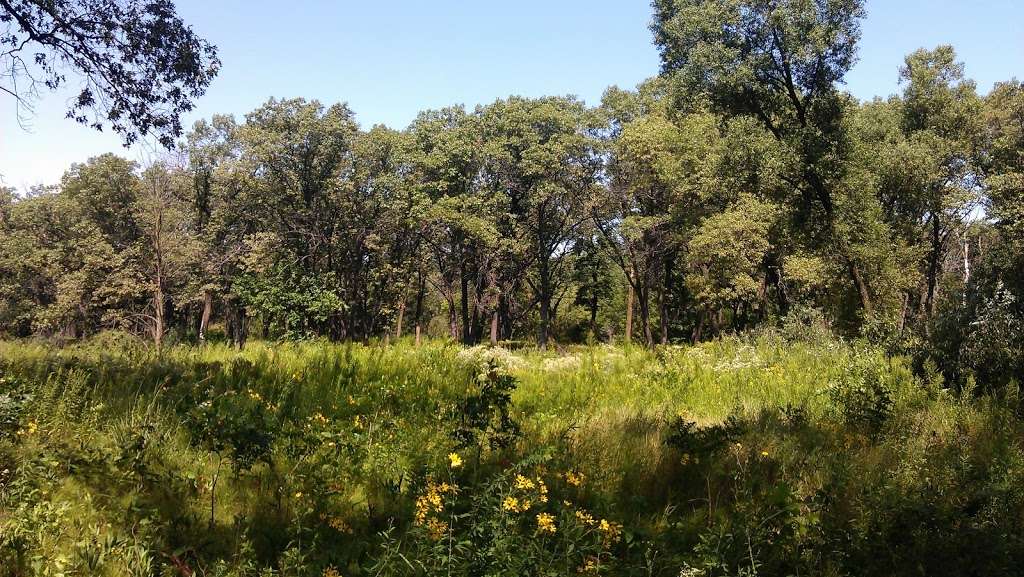 Ivanhoe South Nature Preserve / Shirley Heinze Land Trust | Colfax St, Gary, IN 46406 | Phone: (219) 242-8558