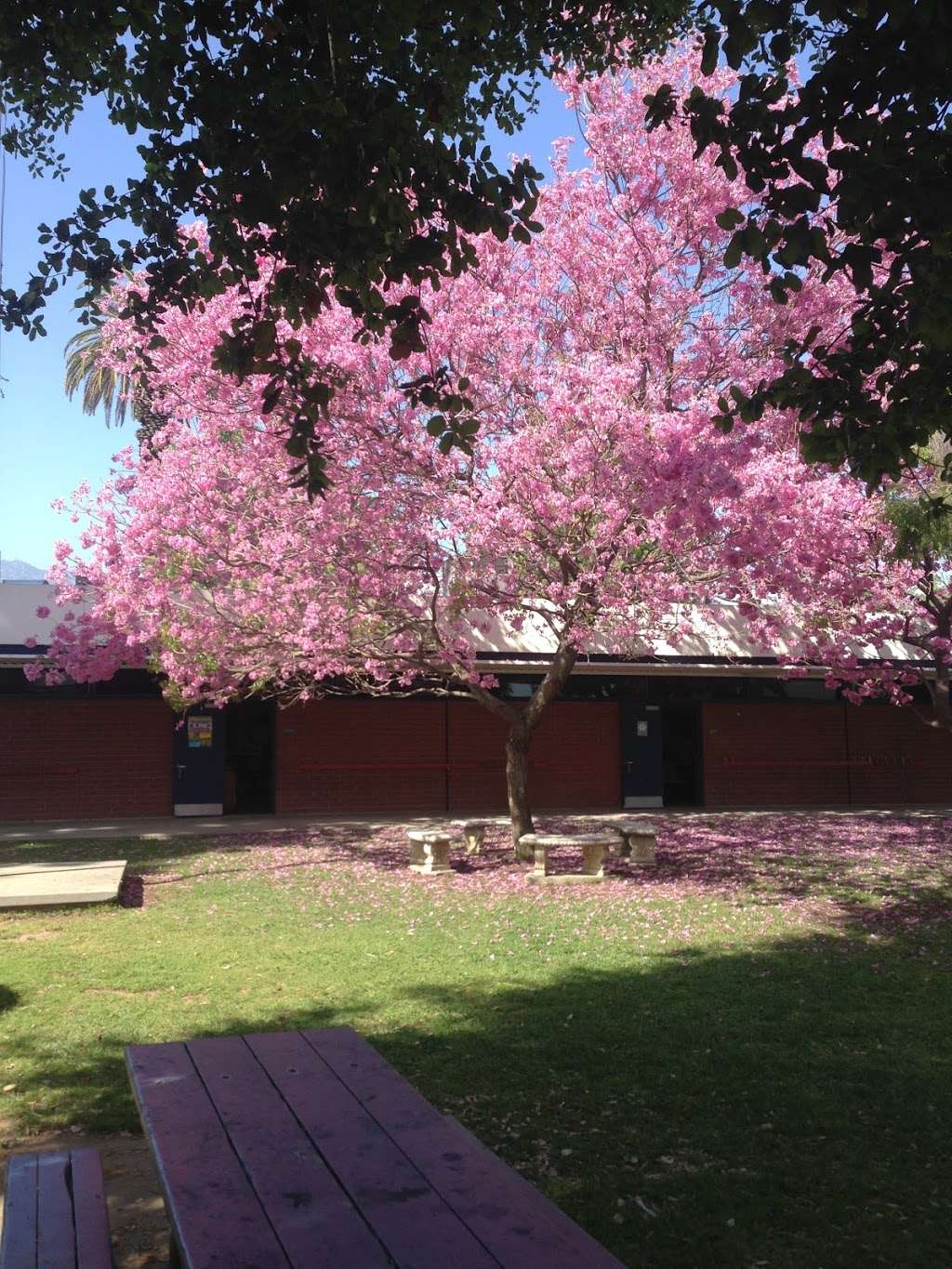 Baldwin Stocker Elementary School 422 W Lemon Ave, Arcadia, CA 91007
