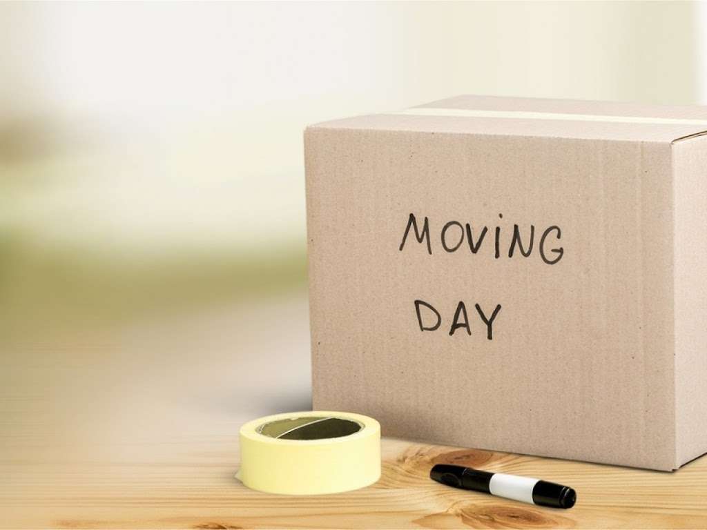 Mercenary Movers | 161 E Lake Blvd, Mahopac, NY 10541 | Phone: (845) 225-2843