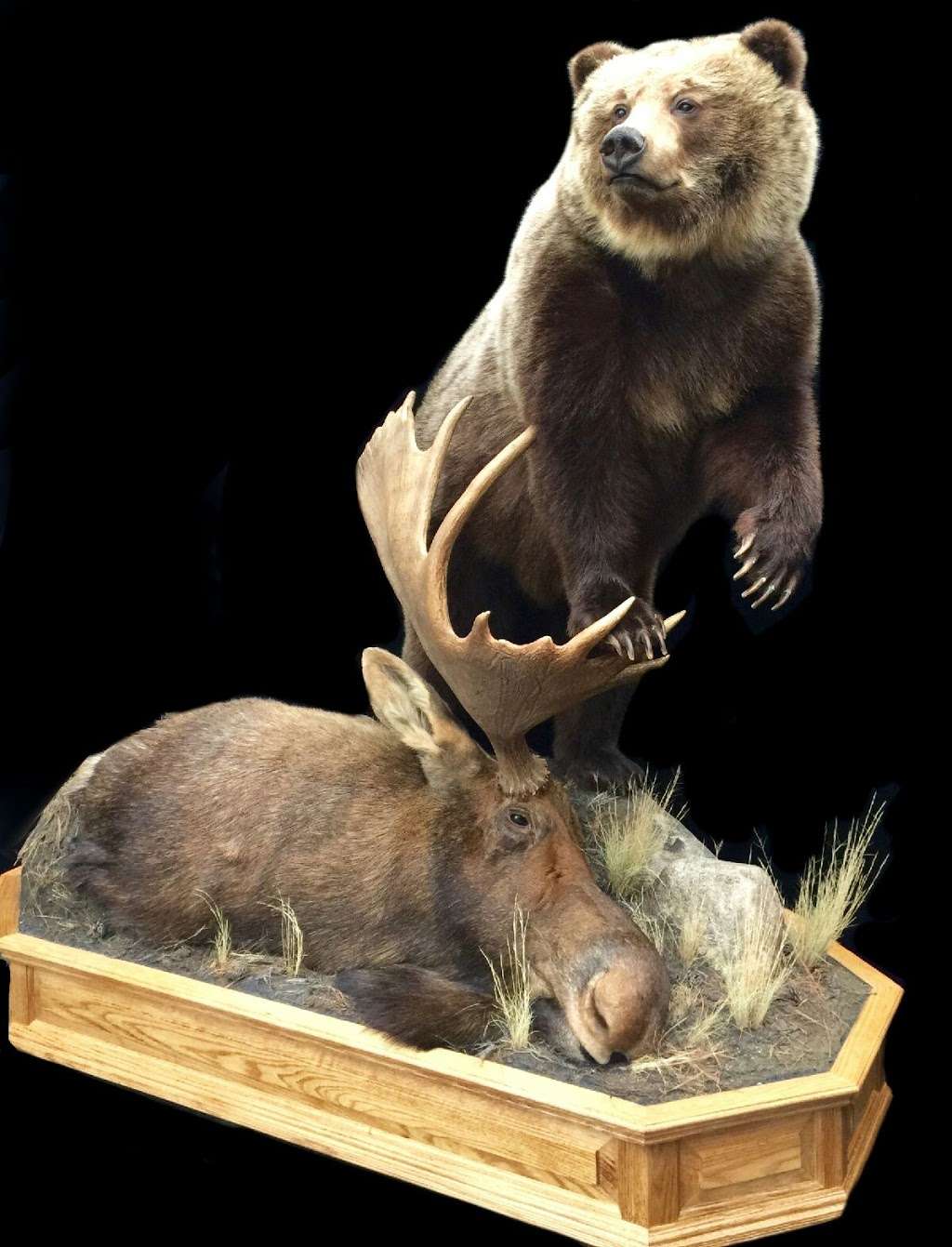 True-Life Taxidermy | 562 New Vernon Rd, Middletown, NY 10940, USA | Phone: (845) 733-1313