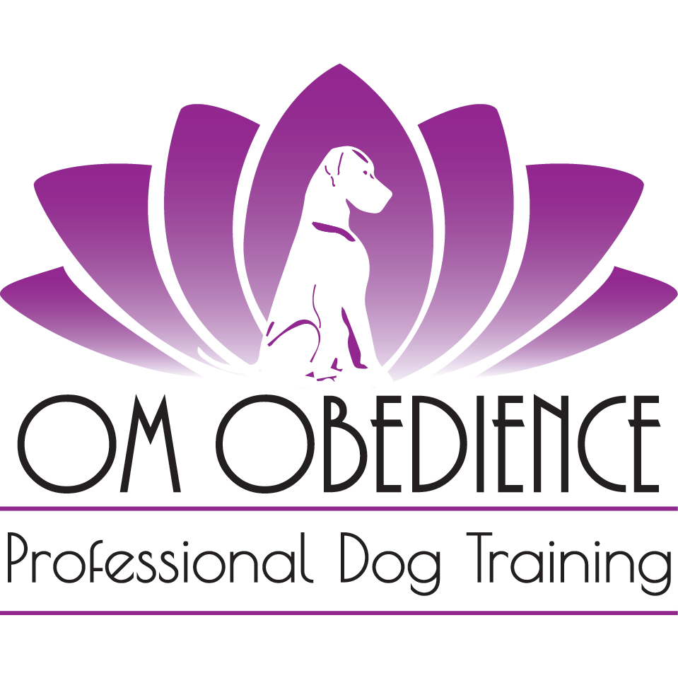 Om Obedience, Professional Dog Training | 60 Forest St, West Bridgewater, MA 02379, USA | Phone: (781) 929-5446