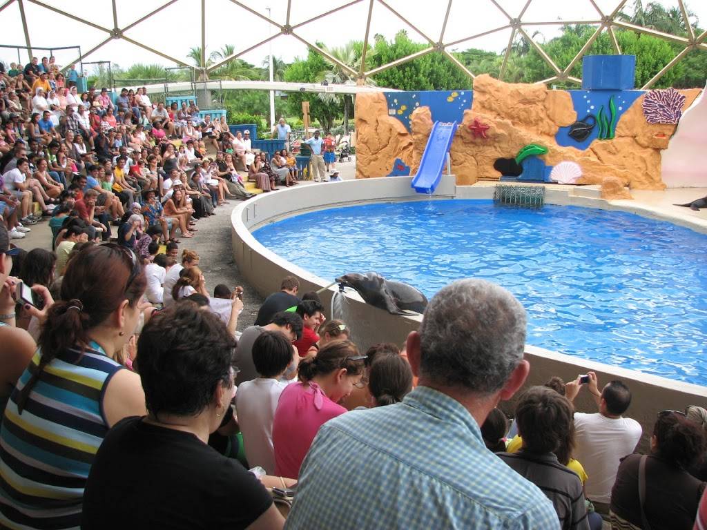 Miami Seaquarium | 4400 Rickenbacker Causeway, Miami, FL 33149, USA | Phone: (305) 361-5705