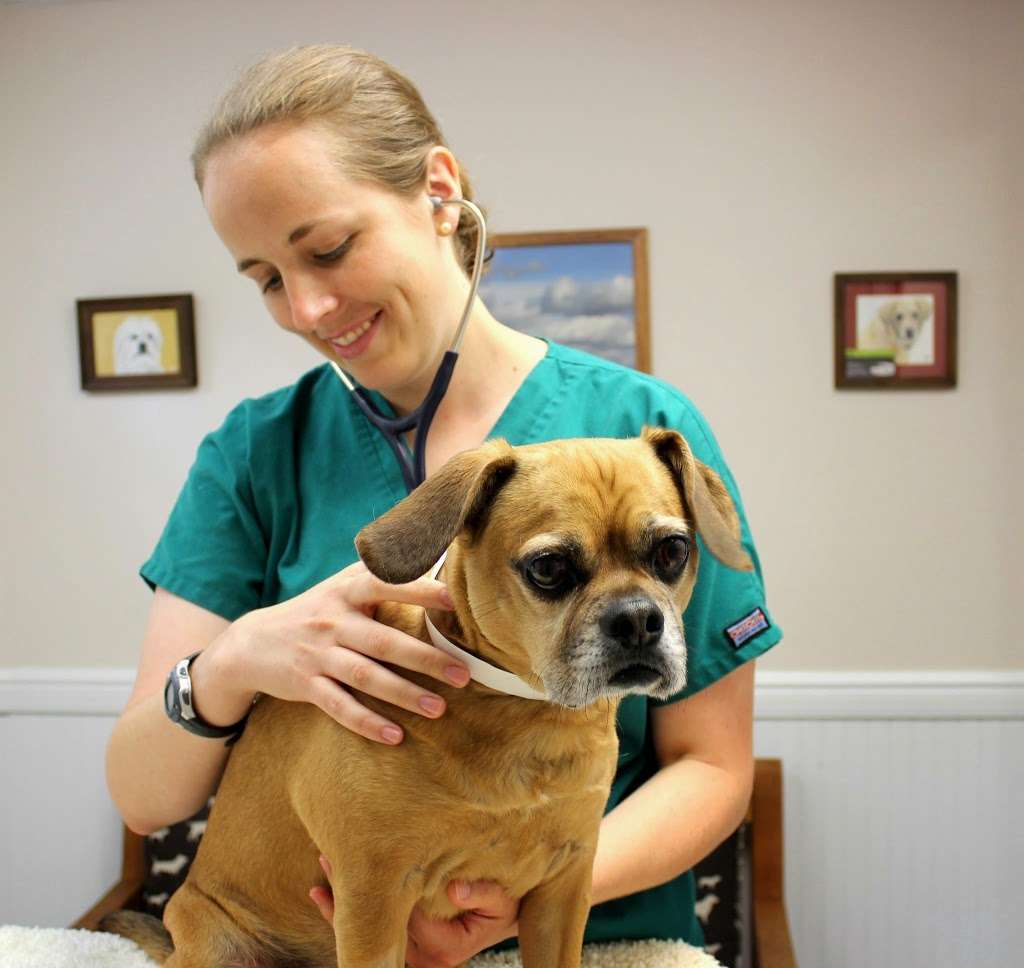 Chesapeake Animal Clinic | 9825 Old Solomons Island Rd, Owings, MD 20736 | Phone: (301) 855-5166