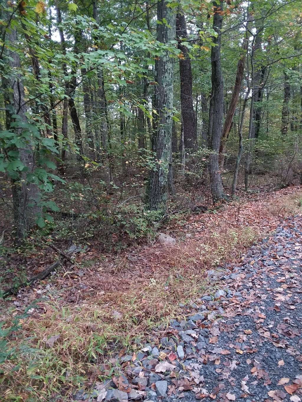 Mount Airy Red Rock Trailhead | Cresco, PA 18326