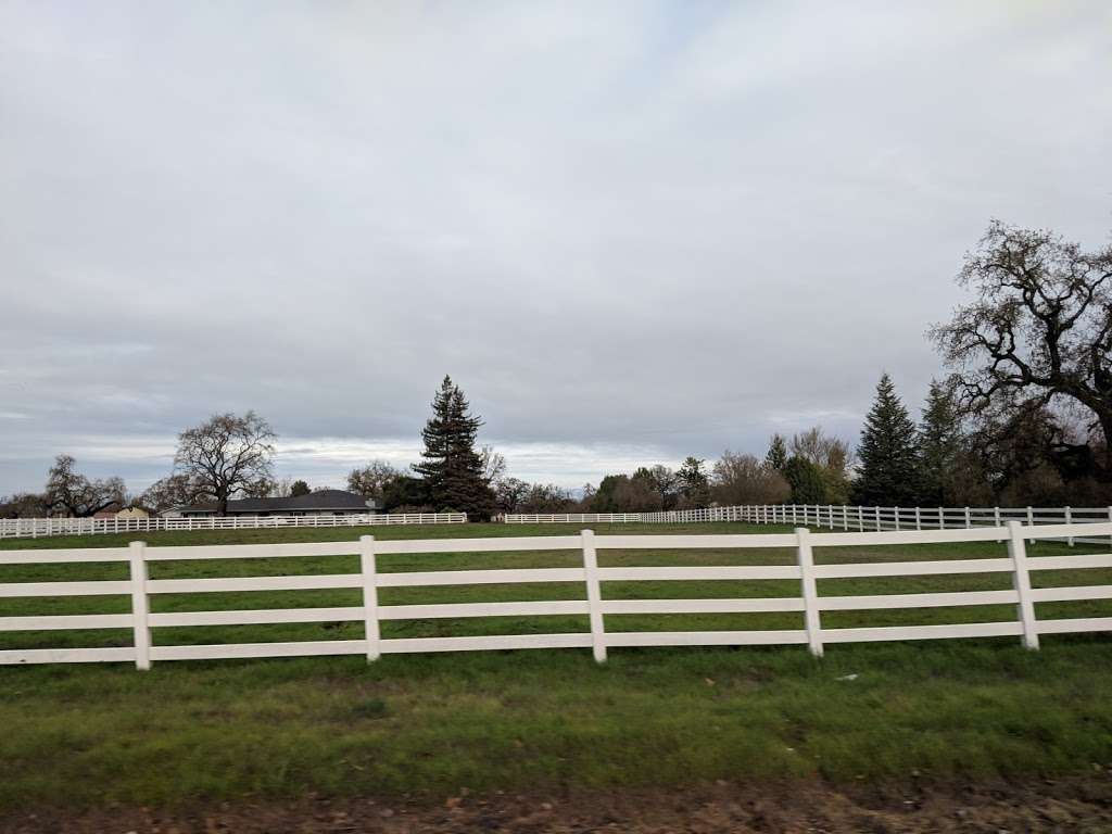 Devotion Animal Hospital | 4382 Occidental Rd, Santa Rosa, CA 95401, USA | Phone: (707) 546-1277