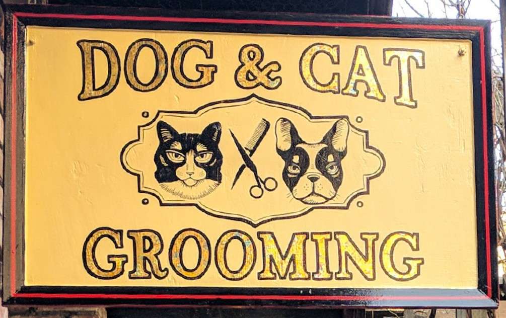 Cage Free Grooming Pet Stylist Heather Tuthill | 4125 Piedmont Ave, Oakland, CA 94611, USA | Phone: (510) 604-8796