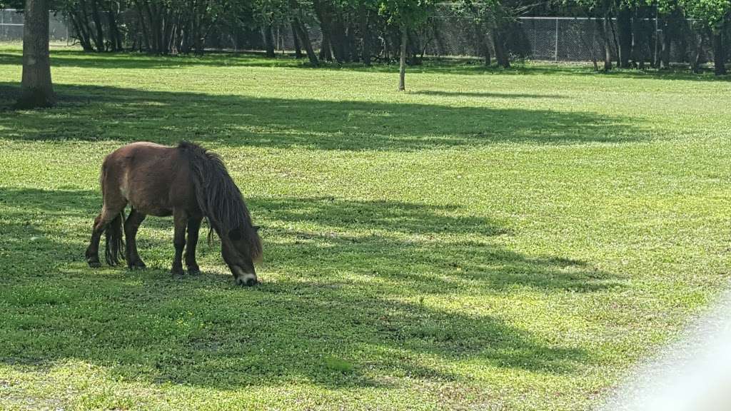 Wildlife Habitat | 3545 War Memorial St, Houston, TX 77084, USA