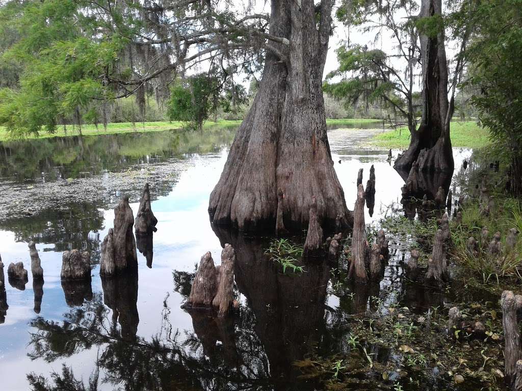 Emerald Lake Mobile Home Park & Sales | 200 Jeremy Dr, Davenport, FL 33837 | Phone: (863) 424-5260