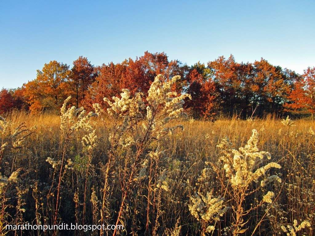 Kloempken Prairie | 1942 E Golf Rd, Des Plaines, IL 60016, USA
