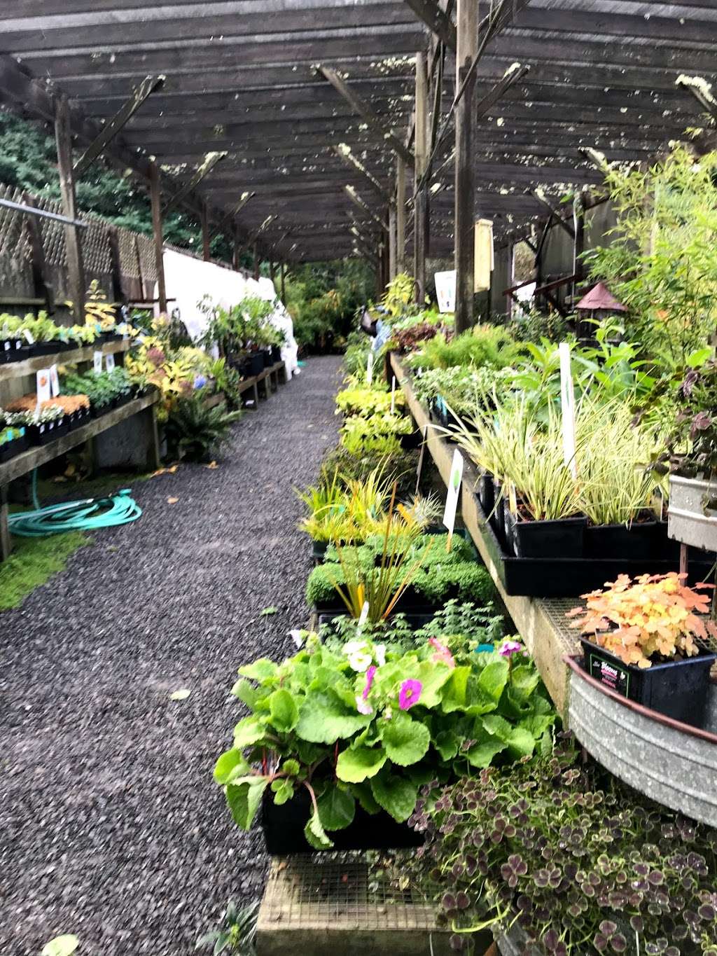 Harmony Farm Supply & Nursery | 3244 Gravenstein Hwy N, Sebastopol, CA 95472, USA | Phone: (707) 823-9125