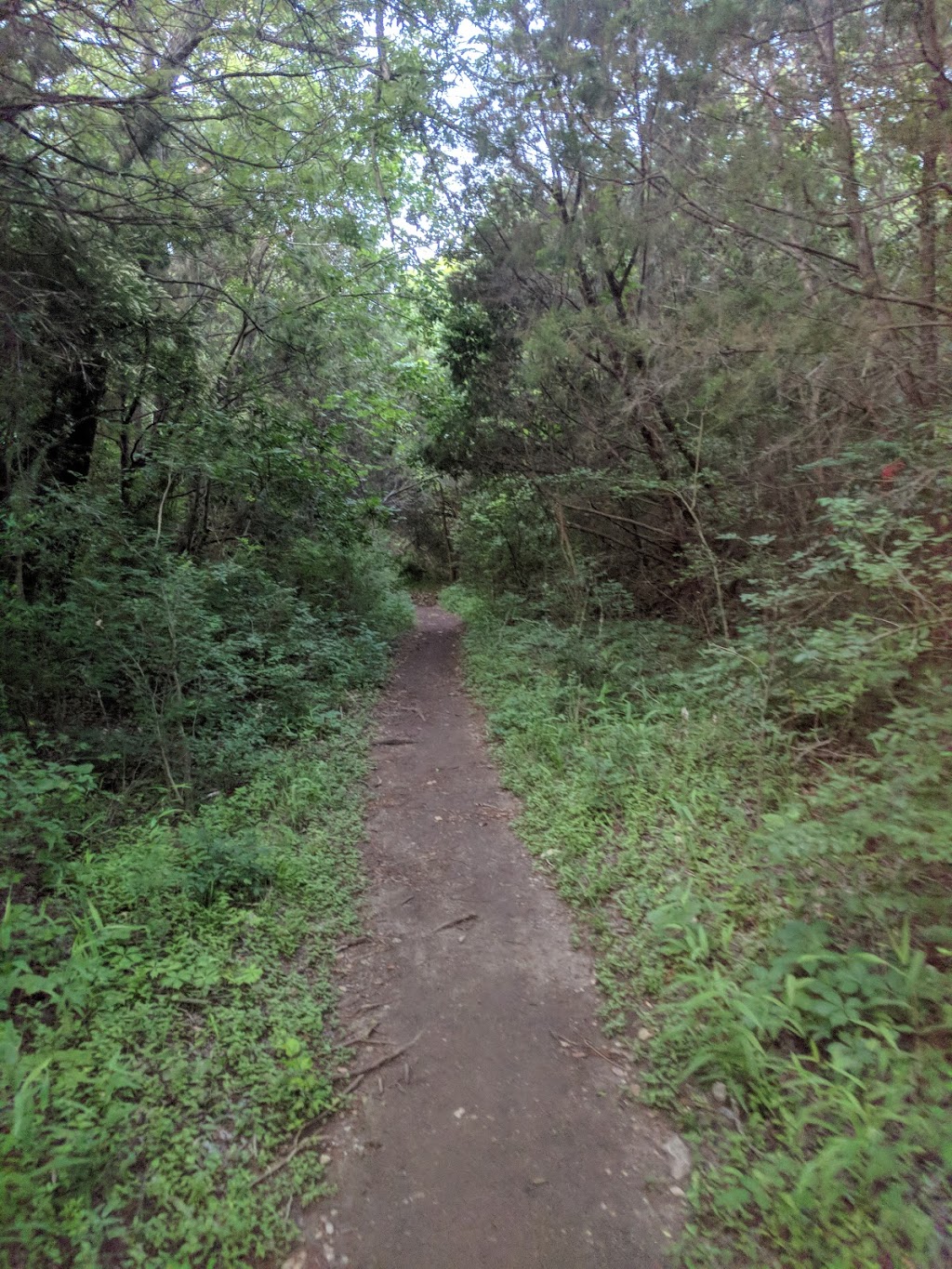 Pickfair Park | 10904 Pickfair Dr, Austin, TX 78750, USA | Phone: (512) 401-8119