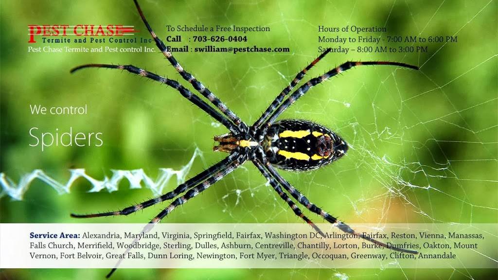 Pest Chase Termite and Pest Control Inc. | 4103 Duvawn St, Alexandria, VA 22310, USA | Phone: (703) 626-0404