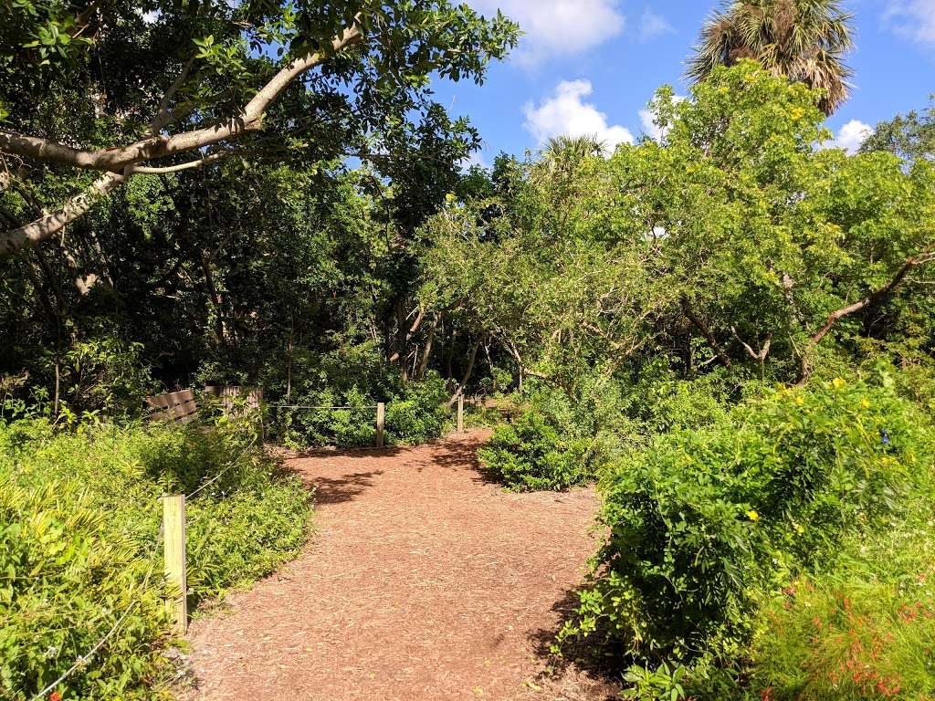 Gumbo Limbo Nature Center | 1801 N Ocean Blvd, Boca Raton, FL 33432 | Phone: (561) 544-8605