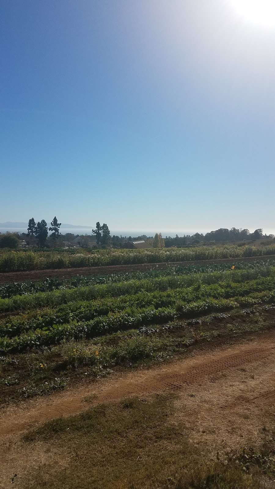 Life Lab | 1156 High St, Santa Cruz, CA 95064, USA | Phone: (831) 459-2001