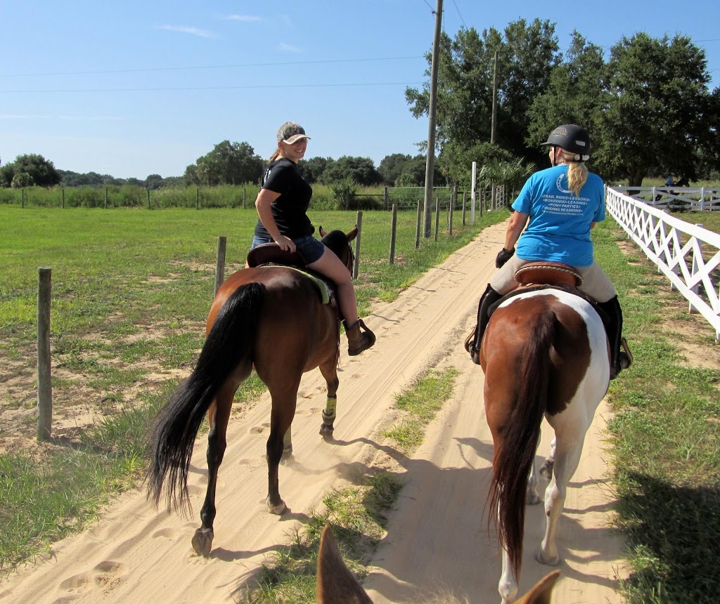 Dreamcatcher Horse Ranch and Rescue Center | 10639 Toad Rd, Clermont, FL 34715, USA | Phone: (407) 702-8332