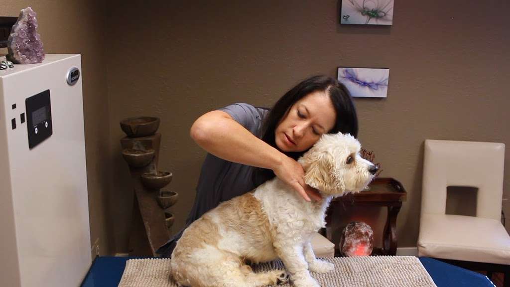 Chiro 4 Paws | 2009 W 104th St, Leawood, KS 66206, USA | Phone: (913) 210-5171