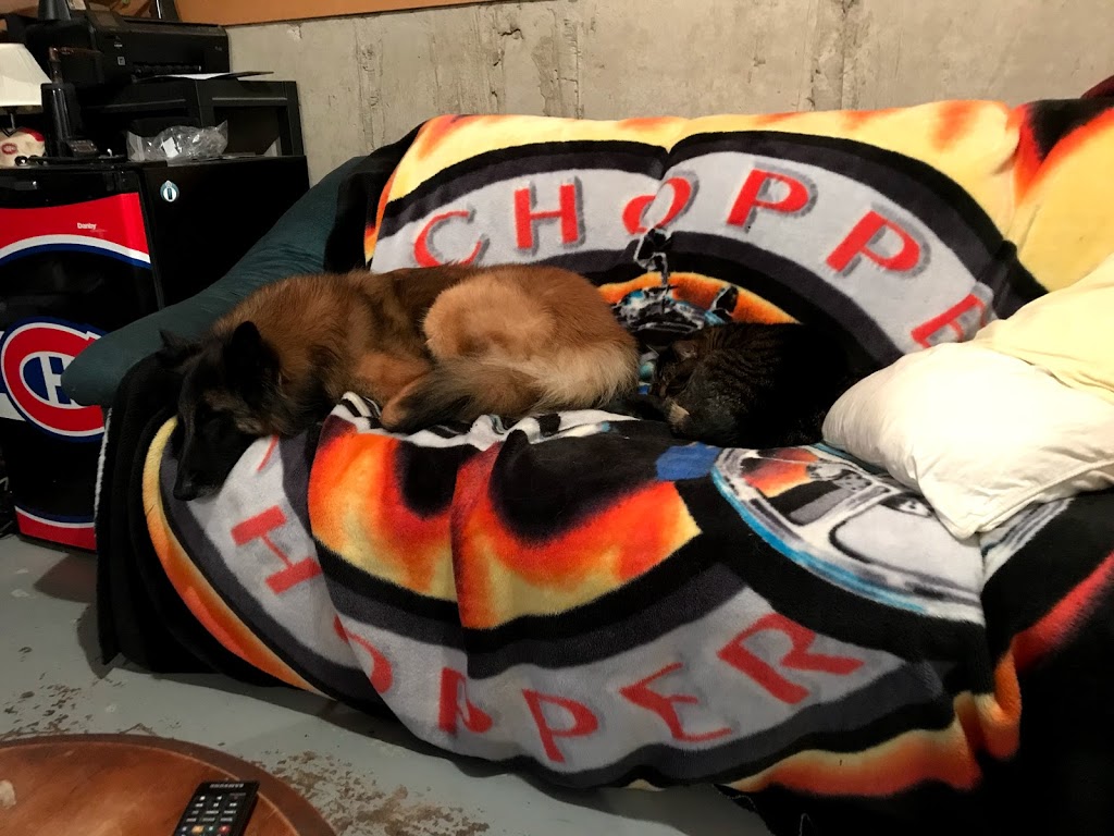 Happy Howlers Raw Pet Food | 8304 Mundare Crescent, Niagara Falls, ON L2G 7M5, Canada | Phone: (905) 295-3134