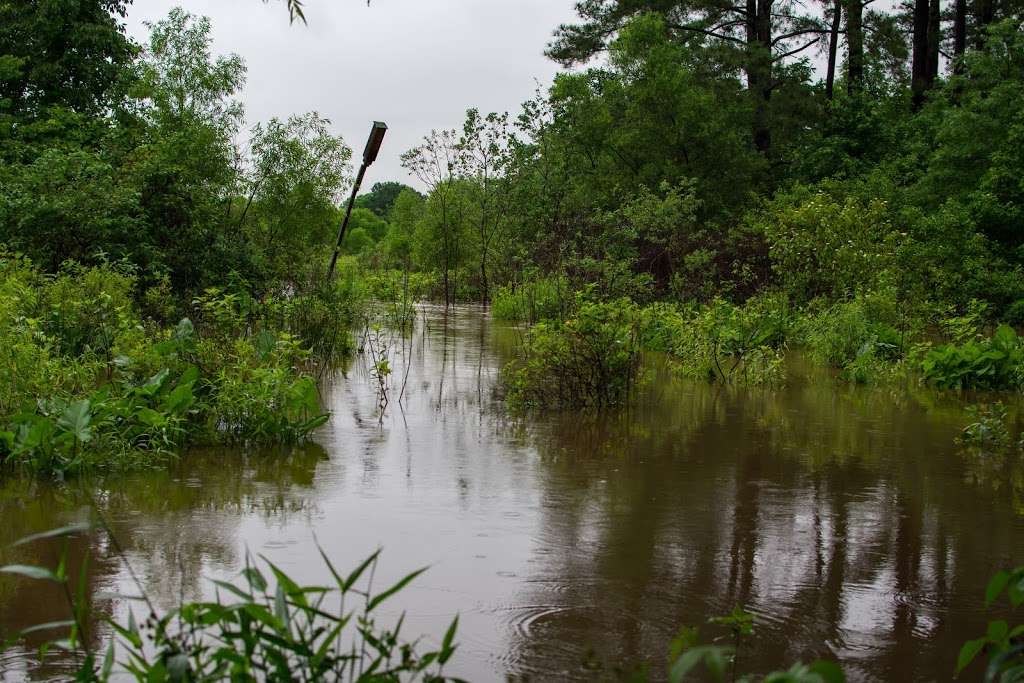Jackson M. Abbott Wetland Refuge | 5000 Pole Rd, Alexandria, VA 22309