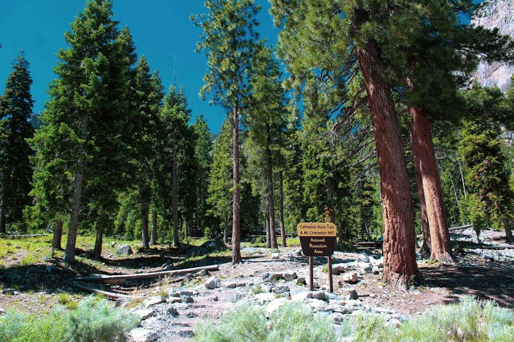 Cathedral Rock Trailhead | Cathedral Picnic Area, Mt Charleston, NV 89124