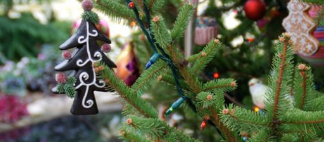 Santas Best Christmas Trees - Cherry Creek | 200 S University Blvd, Denver, CO 80209, USA | Phone: (303) 900-1314